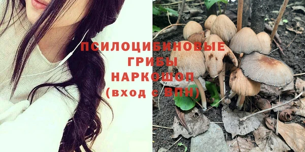 СК Мегион