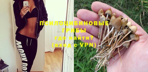 apvp Медвежьегорск