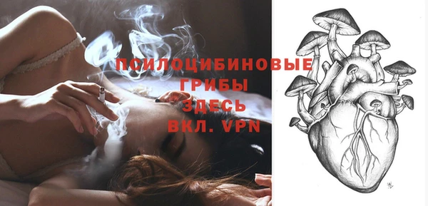 apvp Медвежьегорск
