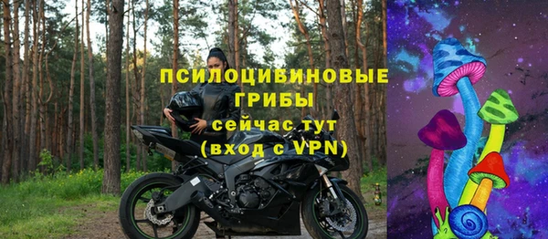 СК Мегион