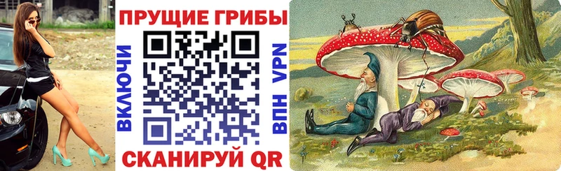 Галлюциногенные грибы MAGIC MUSHROOMS  хочу   Ардон 